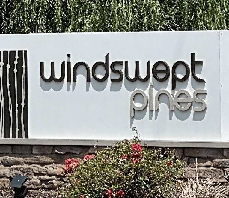 Windswept Pines